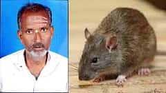 Rat Fever: ಇಲಿ ಜ್ವರಕ್ಕೆ ಹಾವೇರಿಯಲ್ಲಿ ವೃದ್ಧ ಸಾವು!